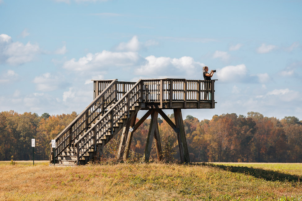 Where to Go Birding near Huntsville, Alabama | copyright: Odinn Media