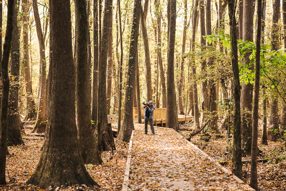 Where to Go Birding near Huntsville, Alabama | copyright: Odinn Media