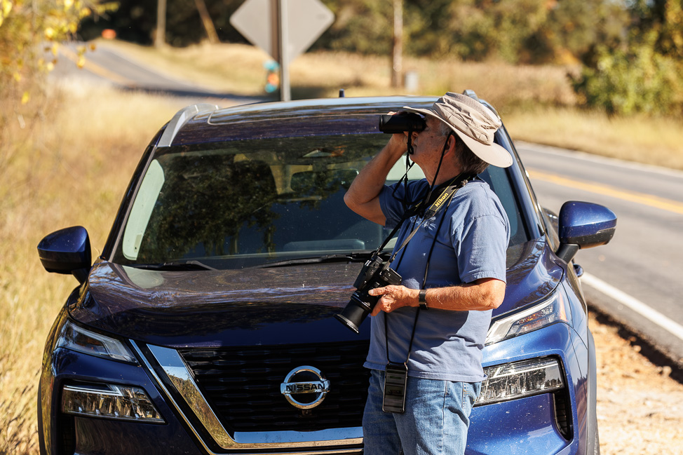 Birding in North Alabama: Where to Go to See Birds
