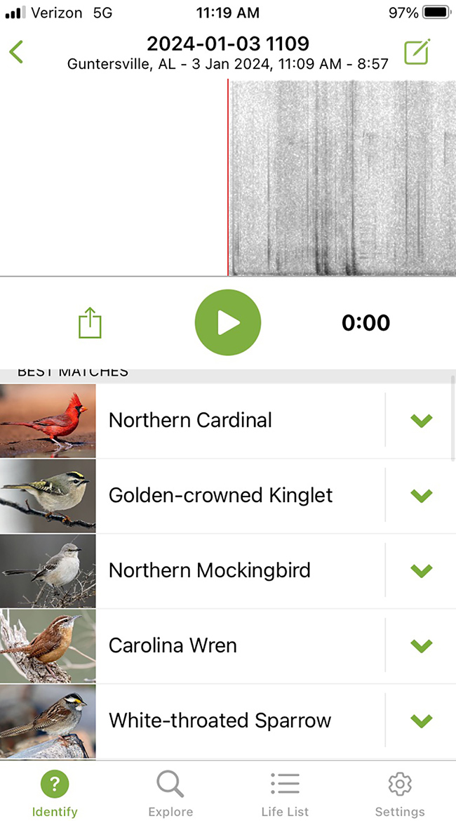 Tracking birds via the Merlin app