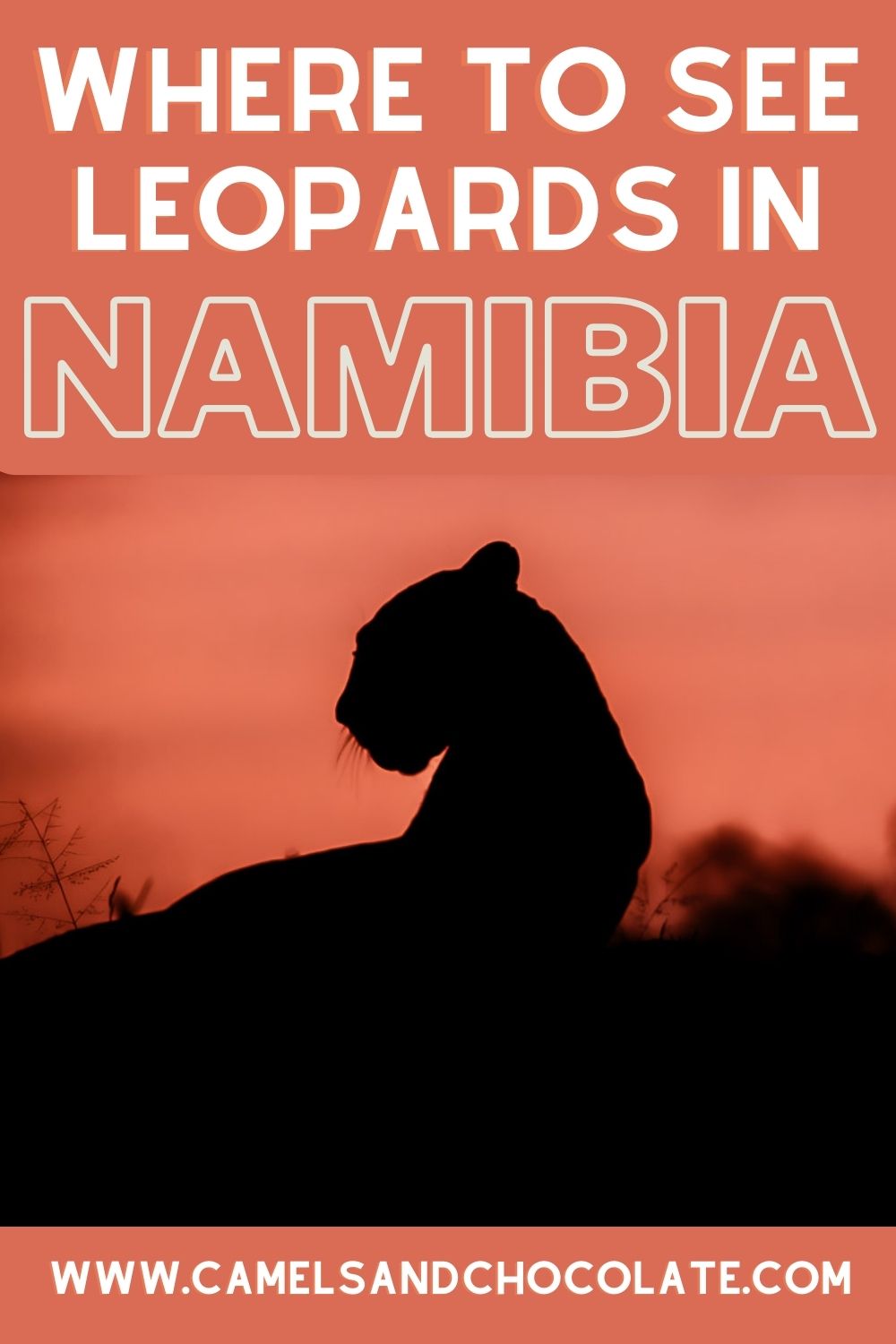 Where to go on safari in Namibia