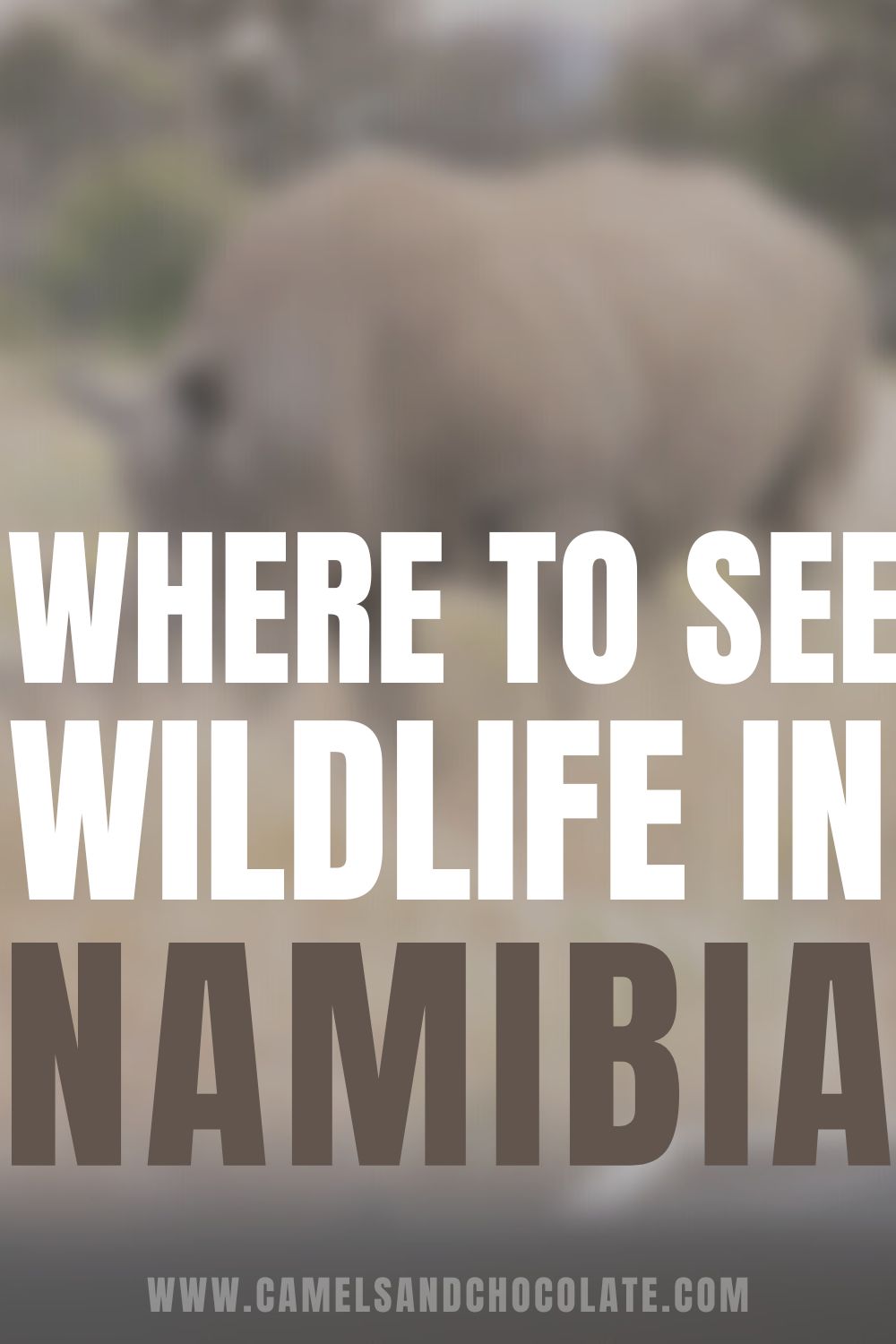 Where to go on safari in Namibia