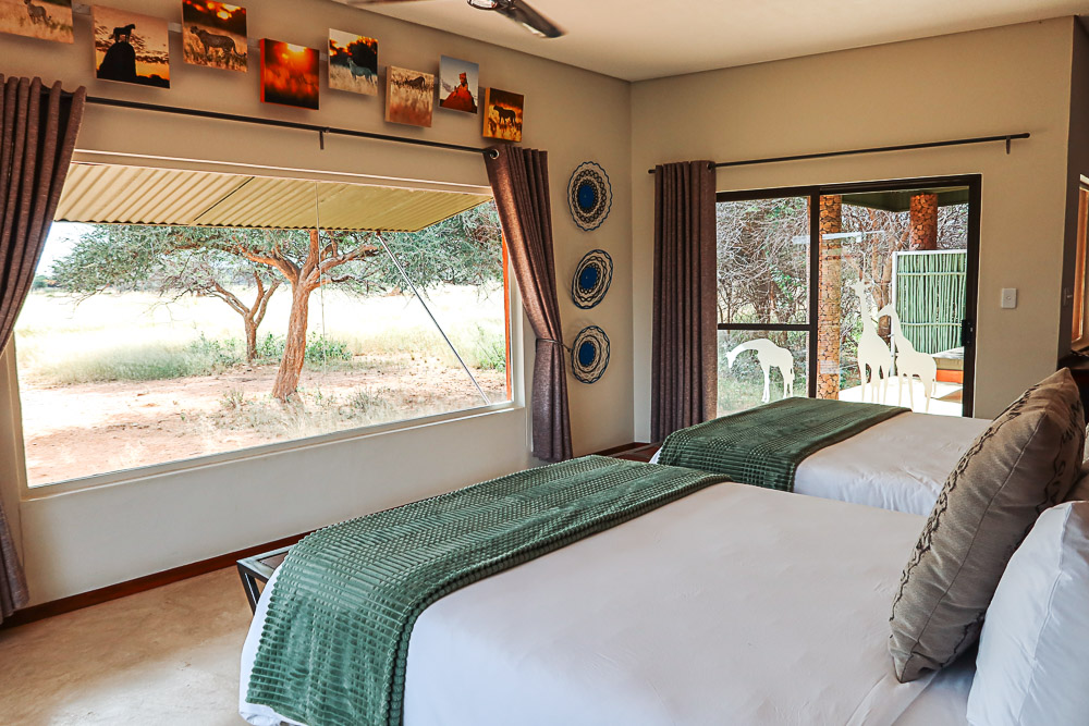 On safari in Africa: Okonjima Lodge in Namibia