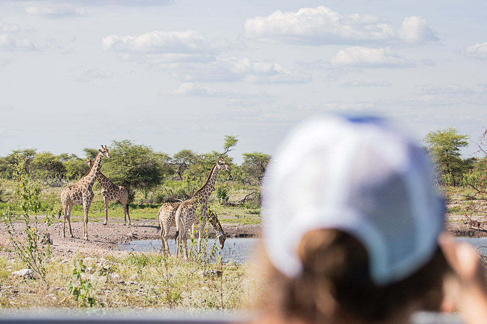 Onguma Camp Kala, the best lodge in Namibia