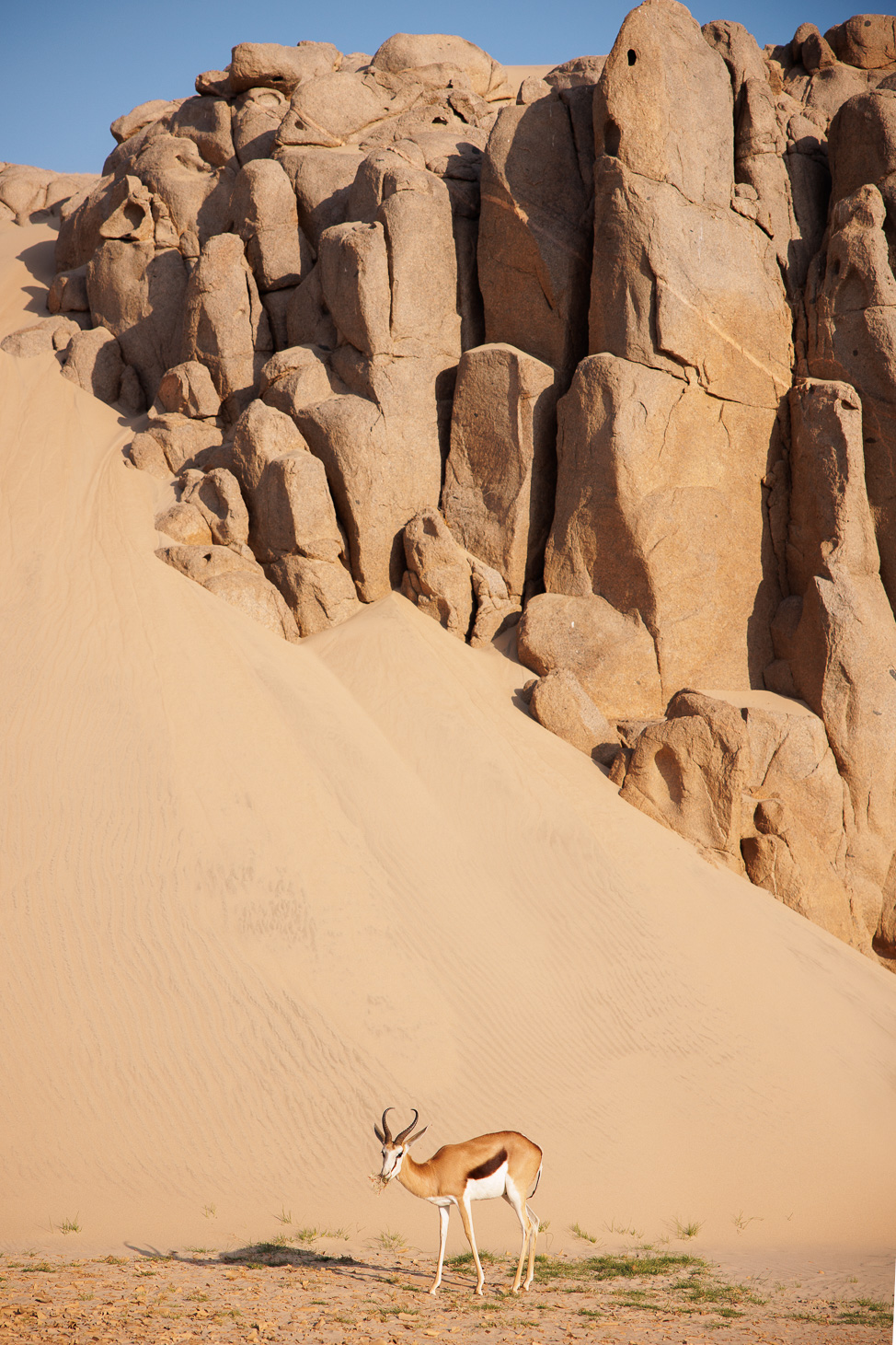 Staying at Shipwreck Lodge in Namibia's Skeleton Coast