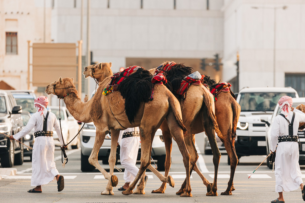 Where to Know About Doha, Qatar | copyright: Odinn Media