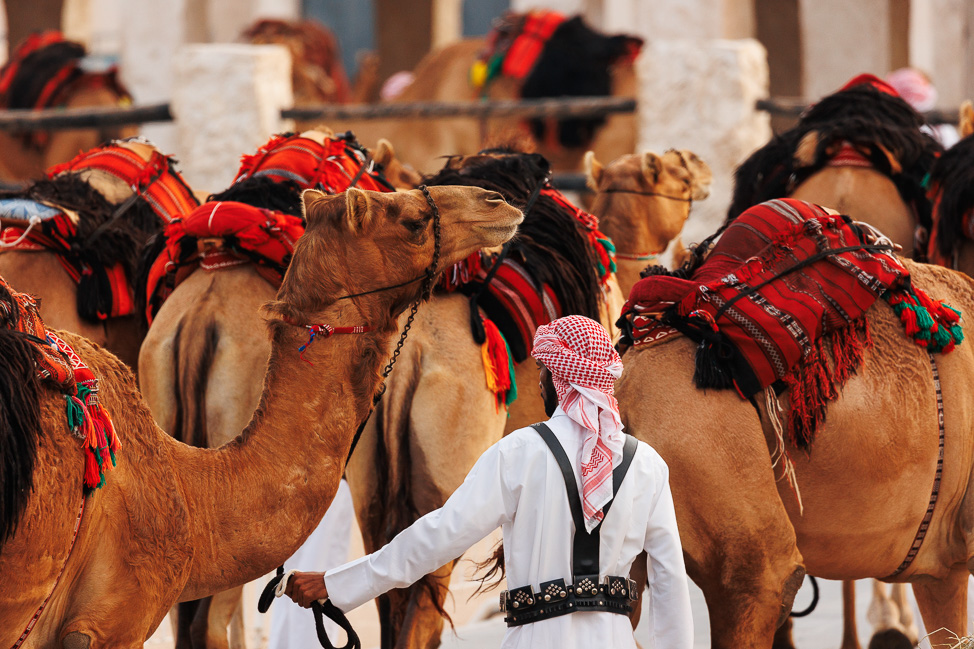 Where to Know About Doha, Qatar | copyright: Odinn Media