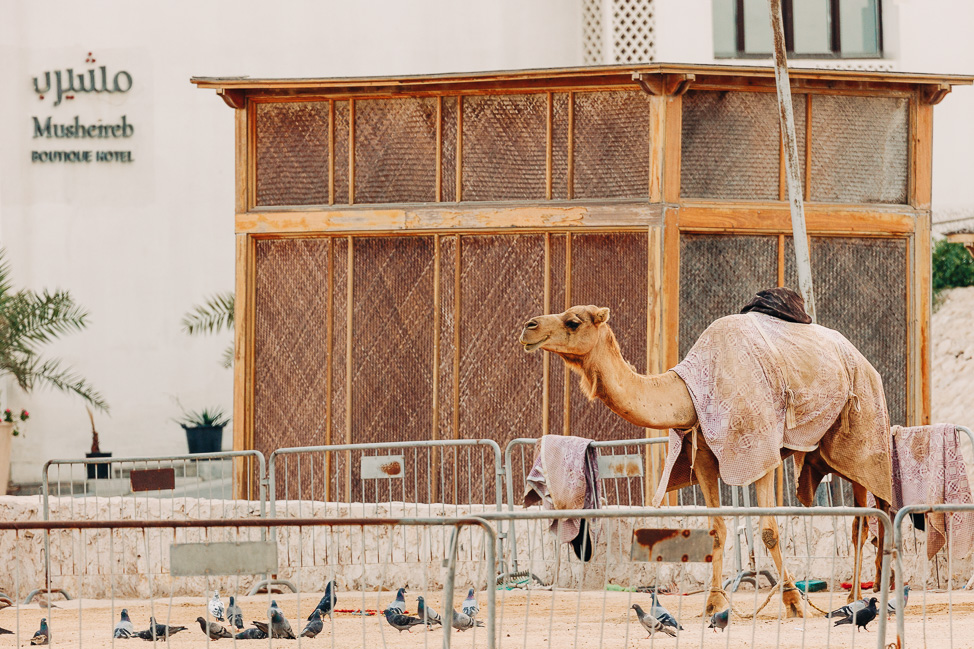 How to Spend 48 Hours in Doha, Qatar | copyright: Odinn Media