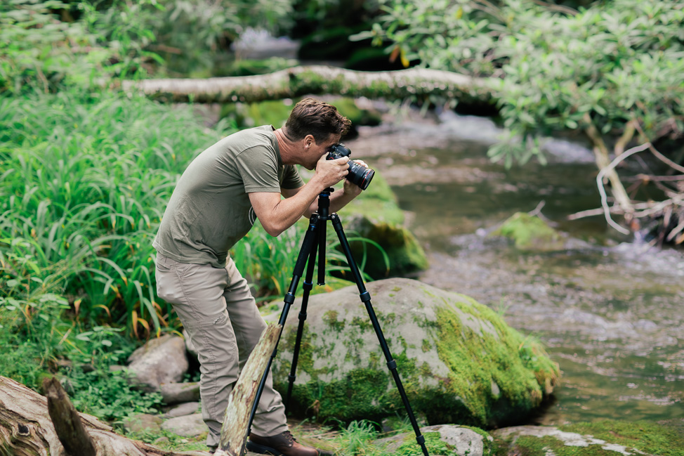 How to photograph Synchronous Fireflies in the Smoky Mountains