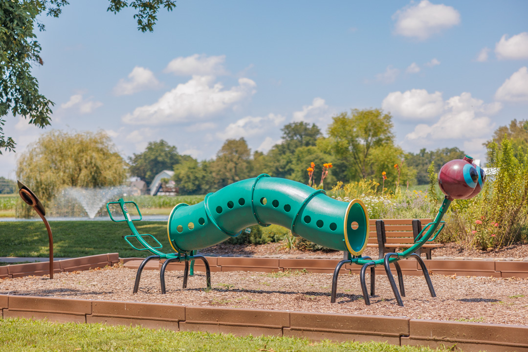 What to do in Murray, Kentucky: visit the Doran Arboretum