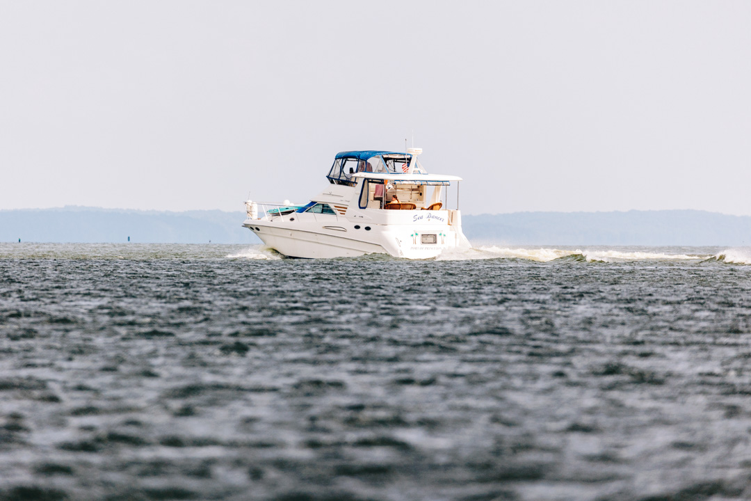What to Do in Murray, Kentucky: go fishing on Kentucky Lake