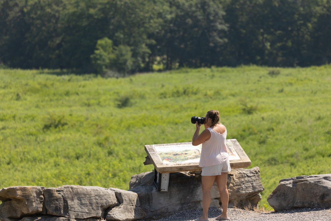 What to Do in Murray, Kentucky: visit the Elk and Bison Prairie