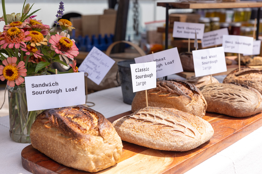 What to do in Murray, Kentucky: the downtown Farmers Market