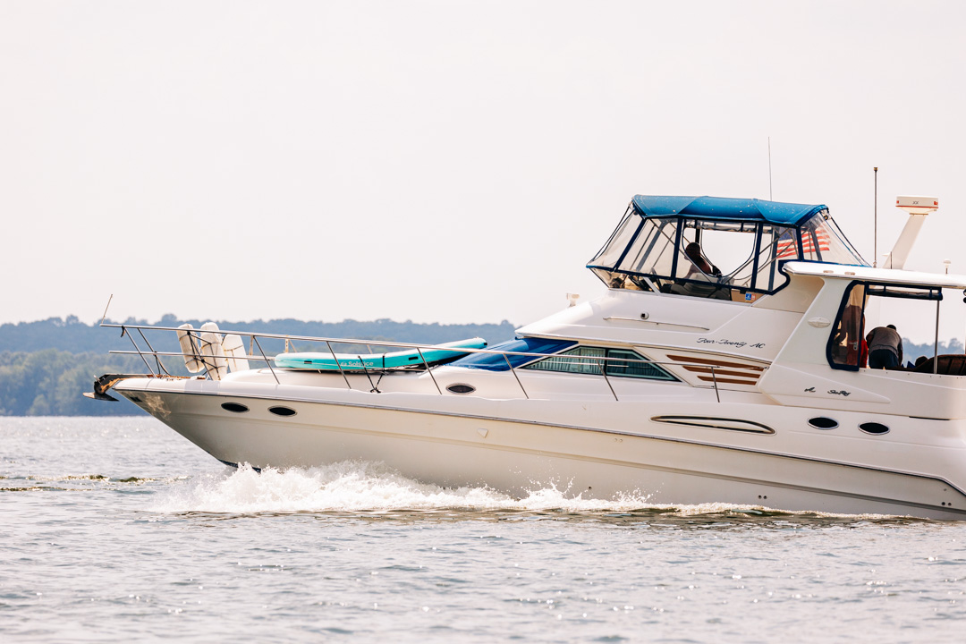 What to Do in Murray, Kentucky: go fishing on Kentucky Lake