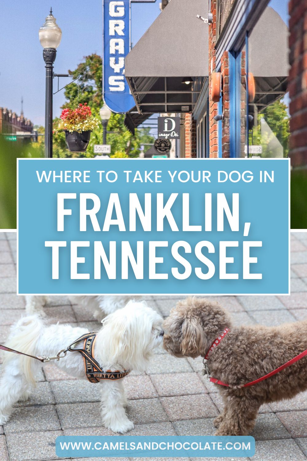 Pet-Friendly Franklin: Where to Go With Your Dog in Franklin, Tennessee