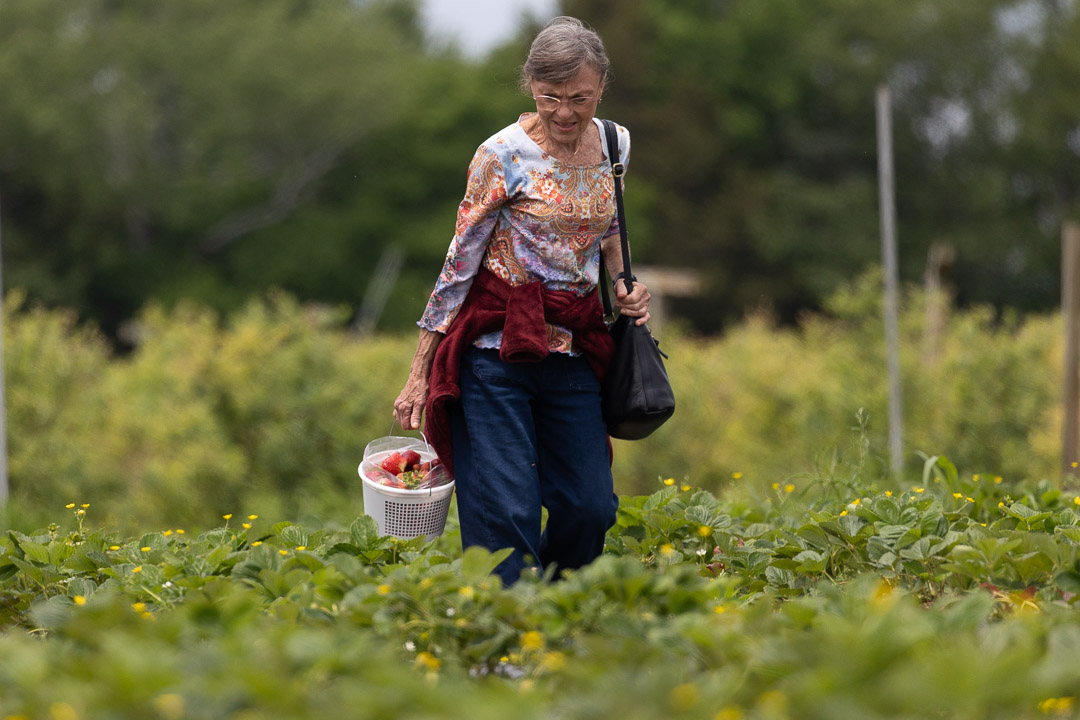 What to do in Murfreesboro: Visit Williamson Family Farm