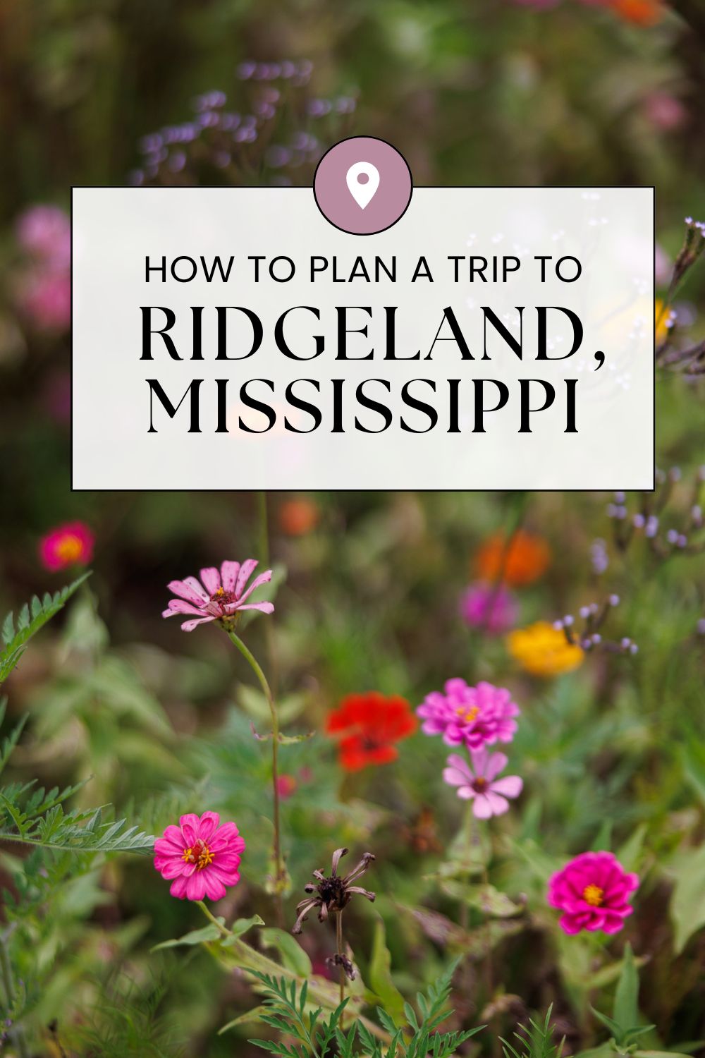 Things to do in Ridgeland, Mississippi for couples