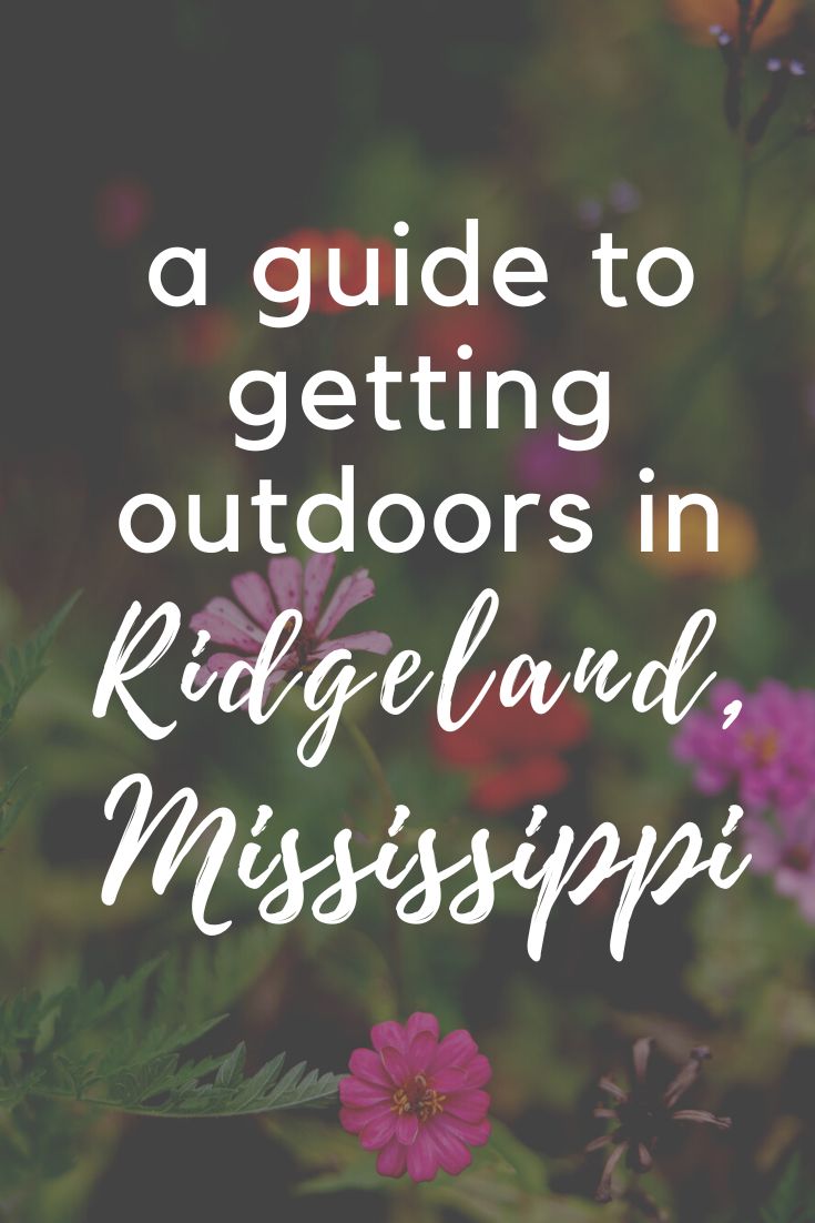 Where to get outdoors in Ridgeland, Mississippi