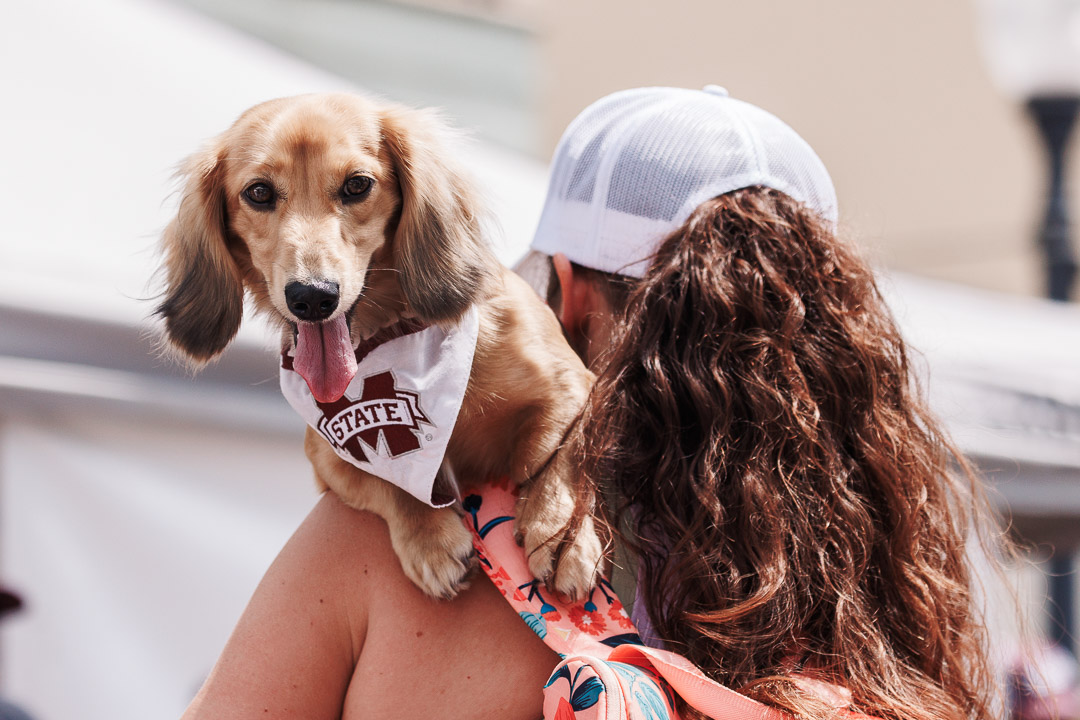 Your ultimate weekend guide to Mississippi's College Town